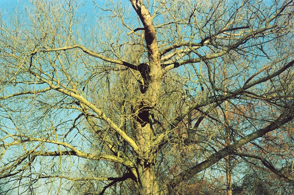 http://mellamoaoife.com/files/gimgs/th-29_33020004.jpg